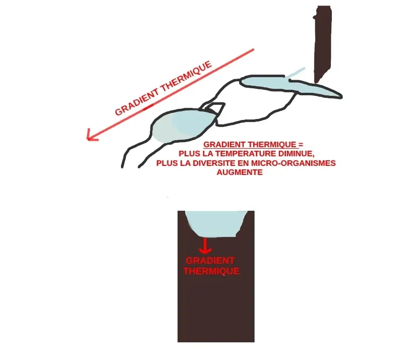Gradient thermique au niveau d'une source chaude